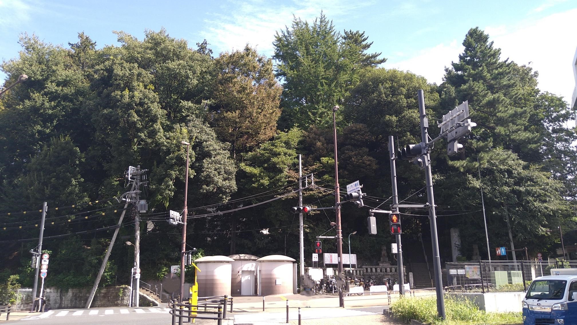 ベトナム大使館への道。代々木八幡宮が見えたらあと少し